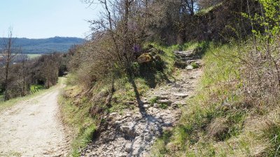 Montrodat - Le Mazet