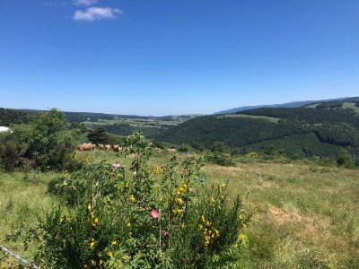 Versant Nord Mont Lozère - Trail n°9
