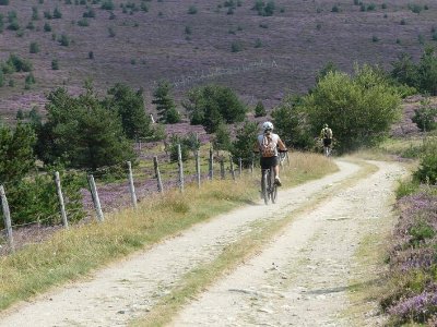 Tour du Finiels - VTT n°14