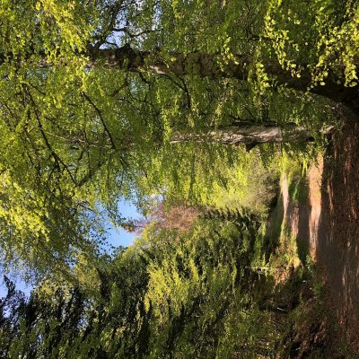 Les Granges en passant par le Fer à Cheval- Trail n°44