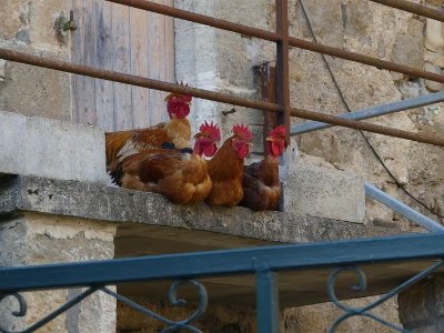 La Loubière