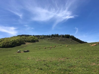 En Aubrac autour de Montgros - Trail n°43