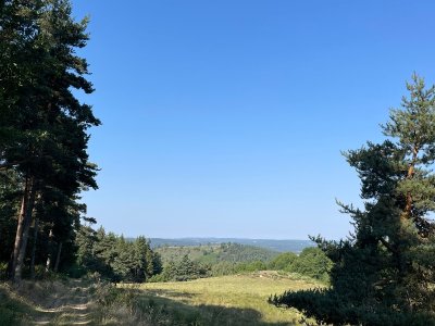 Circuit des Gorges de l'Allier - VTT n°10