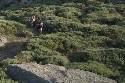 Lac de Villefort - Trail n° 6