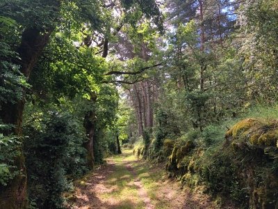L'enfer de Roqueprins - Trail n°12