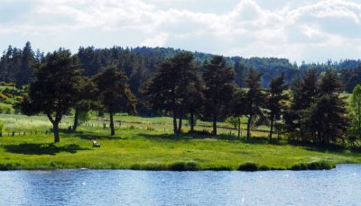 Le Lac du Moulinet - Trail n°11