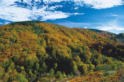 Le toit des Cévennes - VTT n°14
