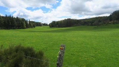 GR® de Pays Tour des Monts d'Aubrac : De Termes à Aumont-Aubrac