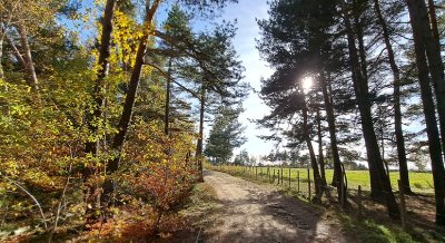Bosselettes autour de Châteauneuf-de-Randon- Trail n°21