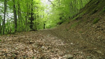 Les Hauts du Monastier