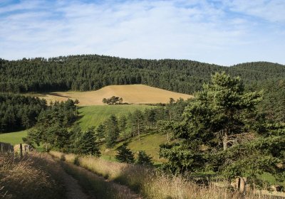 Le Mazelet - VTT n°1