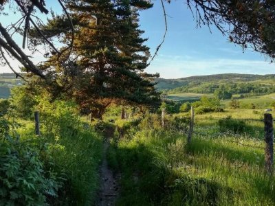 St Amans- Rieutort - Trail n°12