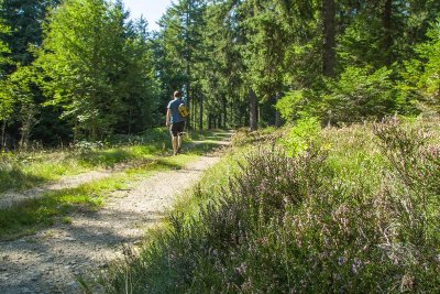Le Mont Mouchet - Parcours N° 16