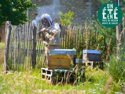 À la rencontre des producteurs - La miellerie Paysages de Miels