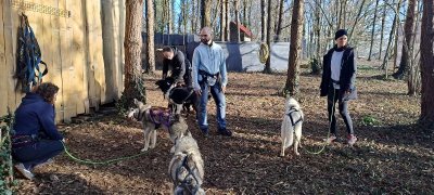 Été Actif : cani-rando