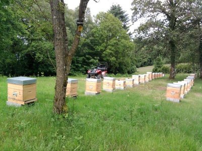 Visite et dégustation au Rucher de la Vauzelle