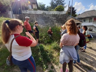 SORTIE BOTANIQUE AVEC LOZ’HERBES