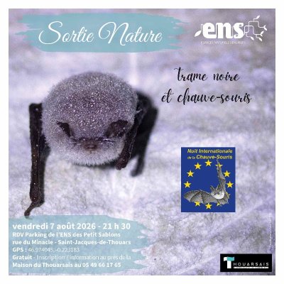 Les estivales de la nature : Trame noire et chauves-souris