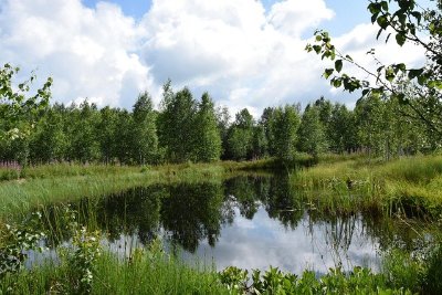 Balade-découverte "La Nature à la tombée de la nuit" au Lac de Feyt