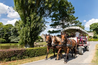 Balade en attelage "Histoire de Grandcamp-Maisy, entre mer et villas"