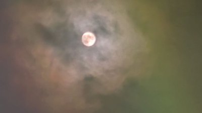 La nuit des étoiles