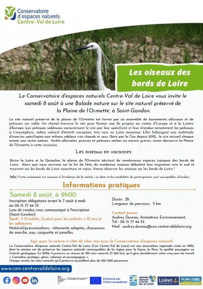 Balade nature : Les oiseaux des bords de Loire