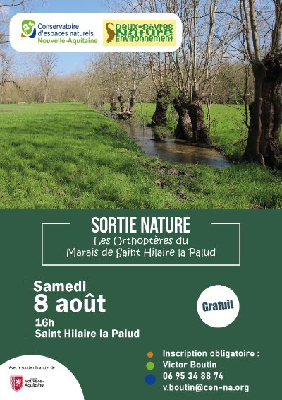 Sortie nature : Les Orthoptères du Marais de Saint-Hilaire-la-Palud