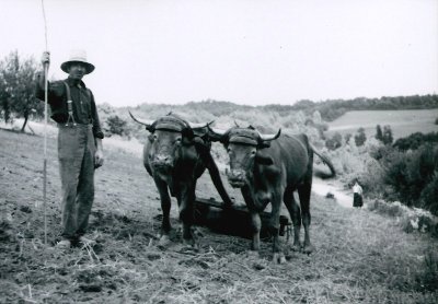 Exposition Mémoire : vie autrefois et objets anciens