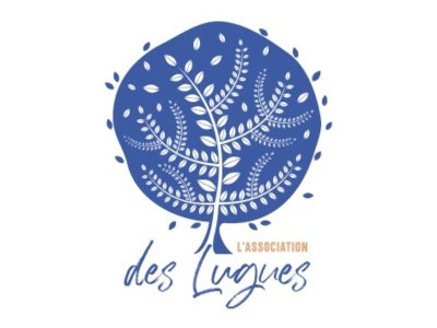 Soirée jeux