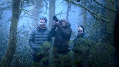 CINÉCO EN PLEIN AIR : LE CHANT DES FORÊTS