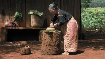 LES CHEMINS DU DOC : NOUS SOMMES LES FRUITS DE LA FORÊT