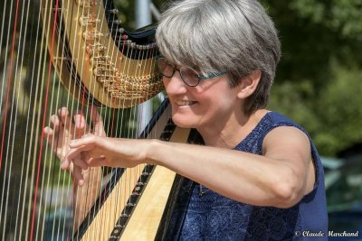 Harpe vagabonde