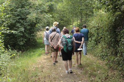 Le remembrement : histoire du bocage