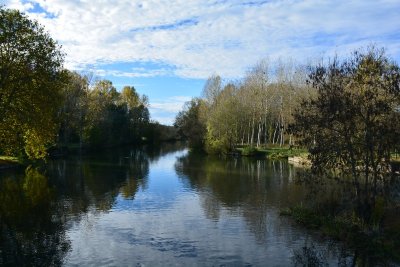 Rivière - N°1