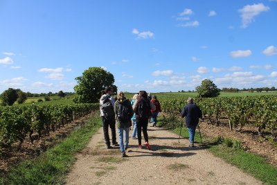 Balade-dégustation It's Wine Time dans les vignes
