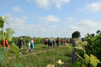 Détours entre Vienne et Veude