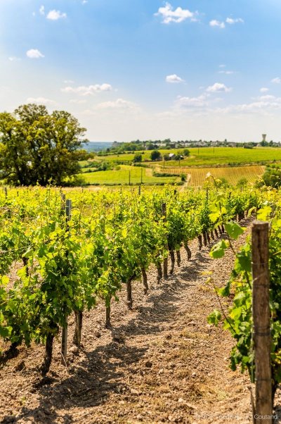 La Vallée de la Vienne - Parcours complet