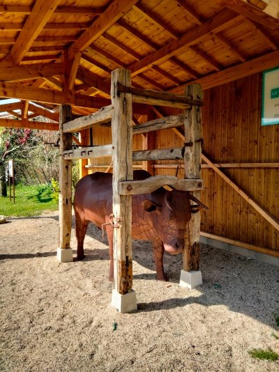 Galapian, un village frappé par les étoiles