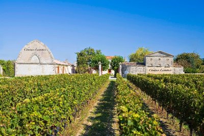 Marché culturel et gastronomique au Château Lacouture à Gauriac