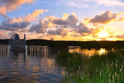 Les pieds dans l'eau à marée haute