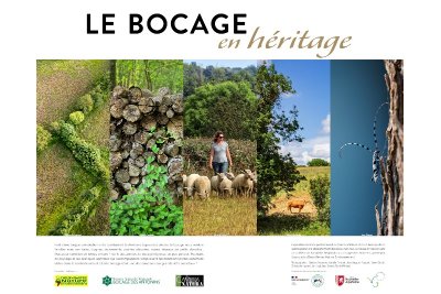 Rencontre avec Deux-Sèvres Nature Environnement