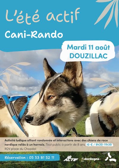Été actif : Cani-rando
