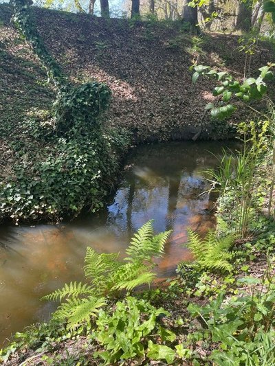 Balade contée le long du Bétey  "Le murmure du ruisseau"