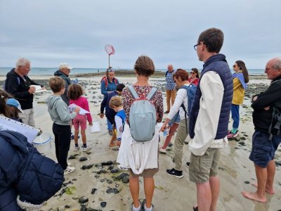 Crabes, bigorneaux et compagnie