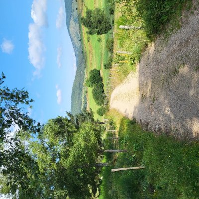 Domaine de Coulagnettes - VTT n°5