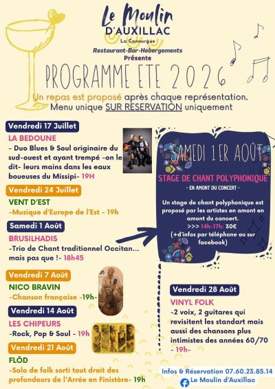 CONCERT AU MOULIN : "VINYL FOLK"