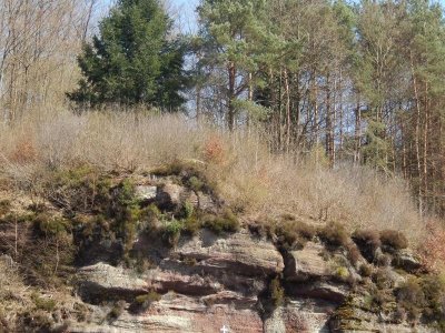 Circuit des 5 Fontaines