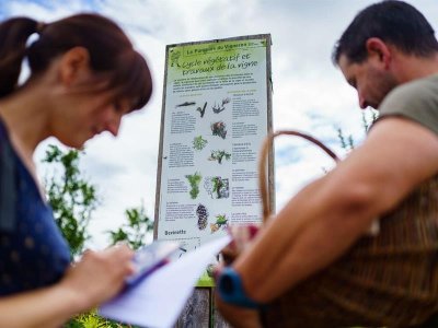 Parcours du vigneron