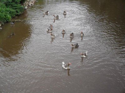 Balade à énigme La Bruche au fil de l'eau