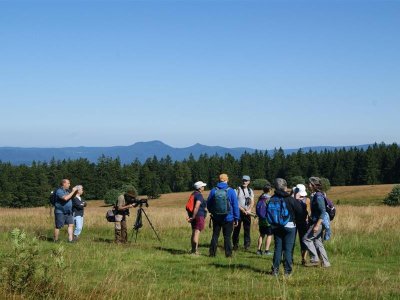 Sentiers Plaisir : Observation des oiseaux